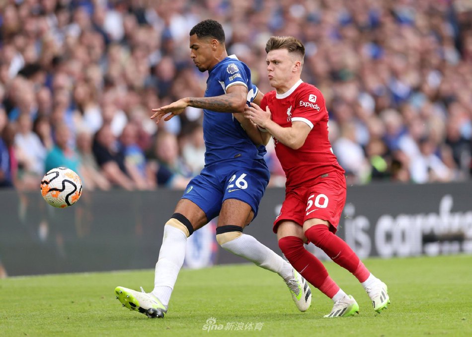 热血与冷静 热血与冷静